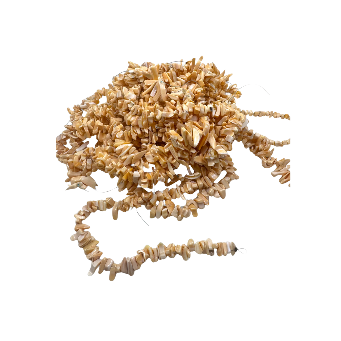 Melon colored whelk beads