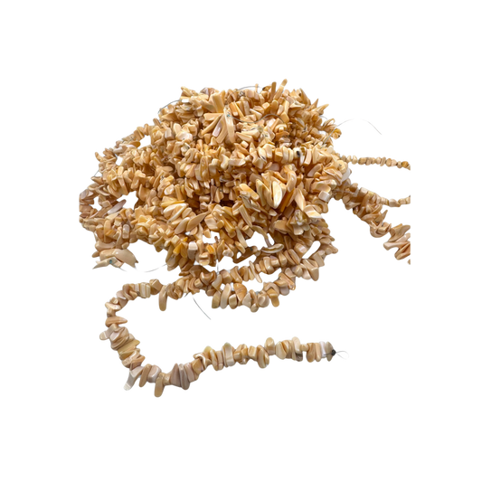 Melon colored whelk beads